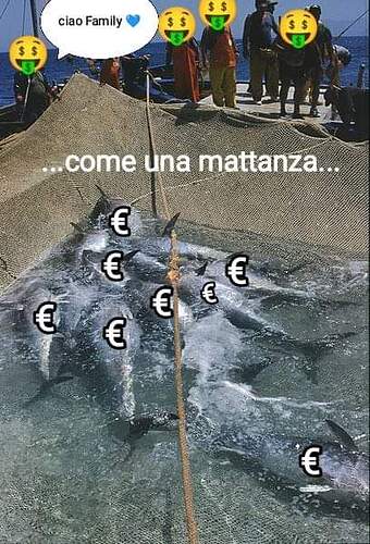 FB_IMG_1713967318909